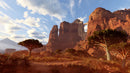 Crimson Desert - Standard Edition - Xbox Series X