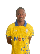 Preslions 2025 Premiership Home Kit (Read Description)