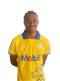 Preslions 2025 Premiership Home Kit (Read Description)