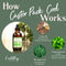 CASTOR OIL (COOL- FOR CYSTS, LIVER SUPPORT ETC.)  AND COTTON CLOTH
