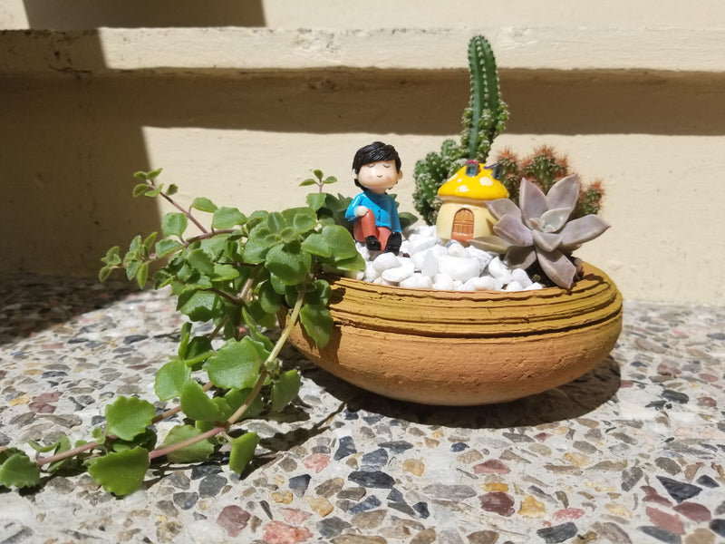 Miniature Fairy Garden and Succulent Arrangement