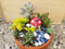 Miniature Fairy Garden and Succulent Arrangement