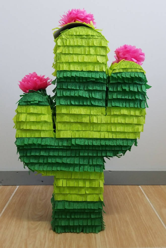 succulent pinata Cactus Pinata