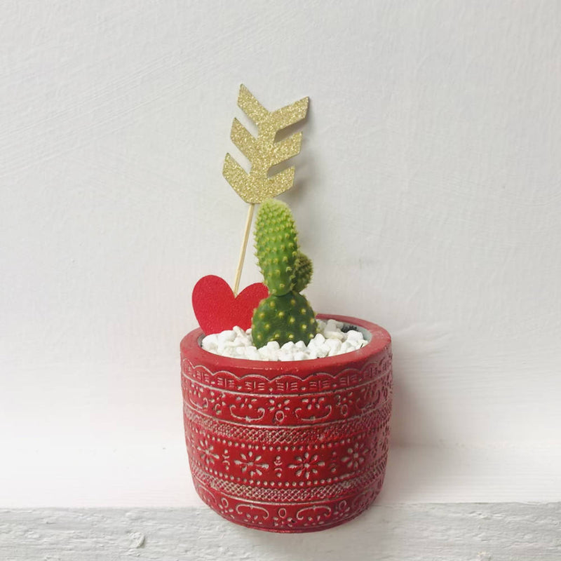 Valentine’s Cactus