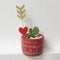 Valentine’s Cactus